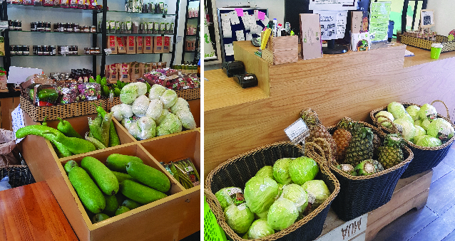 (HỘ KINH DOANH) VÕ THỊ THU HƯƠNG