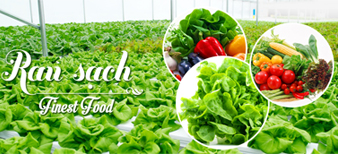 (HỘ KINH DOANH) VÕ THỊ THU HƯƠNG